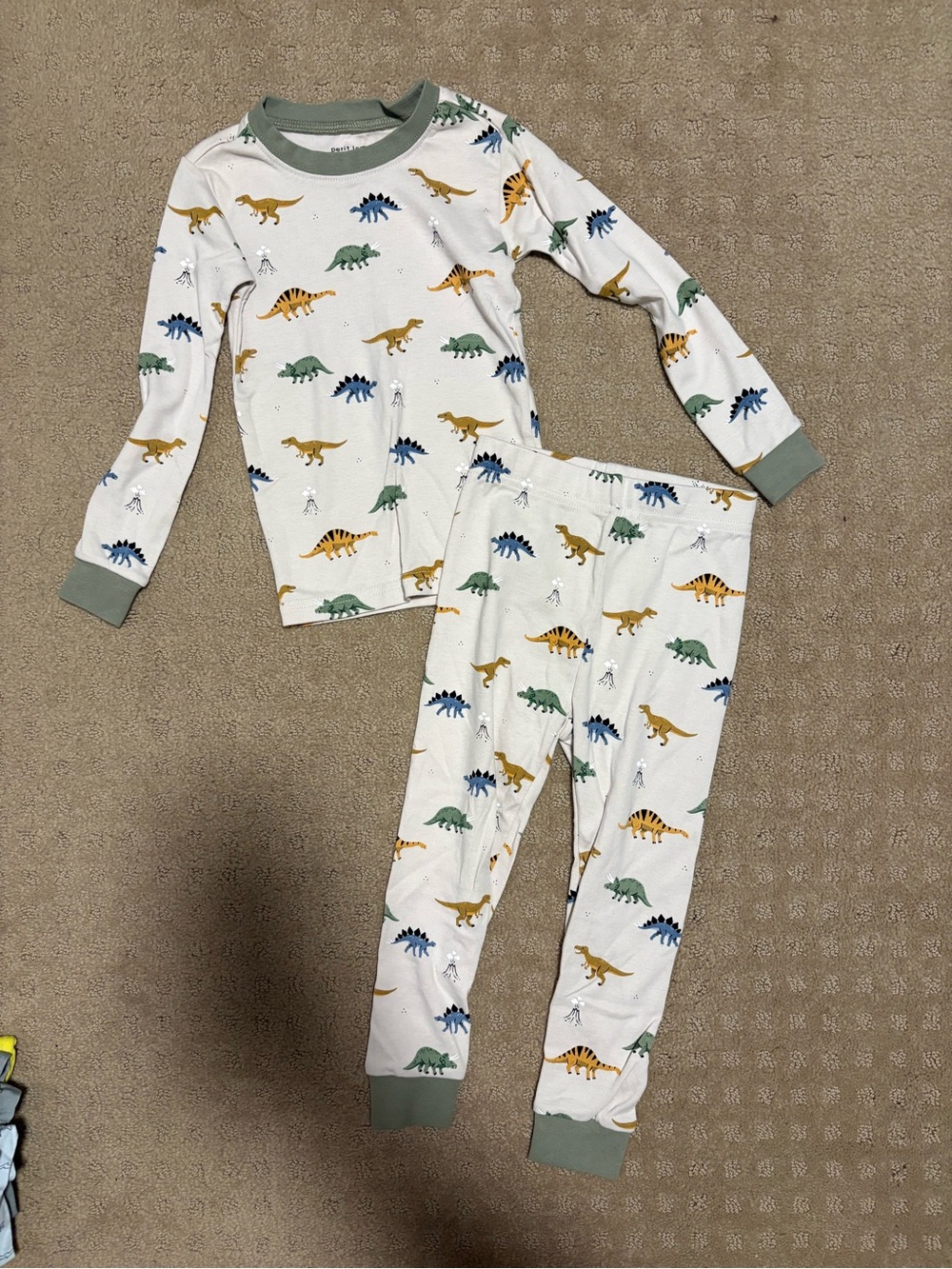 Dinosaur Print Pajama Set with Green Trim